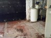 Basement-overhaul-mold (1)