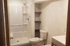 Bidet In Basement Bathroom