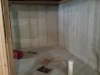 basement-bathroom-is-going-here