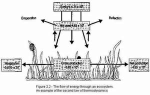 500x_custom_1277455044792_2nd_law_of_thermodynamics.jpg